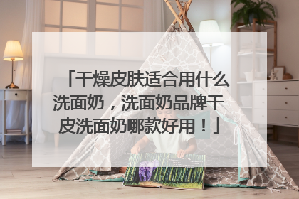 干燥皮肤适合用什么洗面奶，洗面奶品牌干皮洗面奶哪款好用！