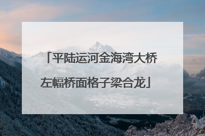 平陆运河金海湾大桥左幅桥面格子梁合龙