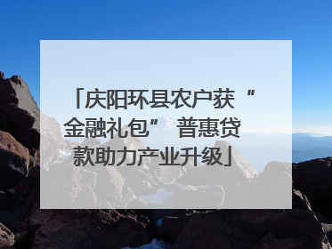 庆阳环县农户获“金融礼包” 普惠贷款助力产业升级