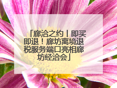 廊洽之约丨即买即退！廊坊离境退税服务端口亮相廊坊经洽会