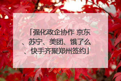 强化政企协作 京东、苏宁、美团、饿了么、快手齐聚郑州签约
