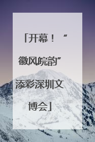 开幕！“徽风皖韵”添彩深圳文博会