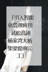 引入智能化管理应用 武松高速杨家湾大桥架梁提前完工