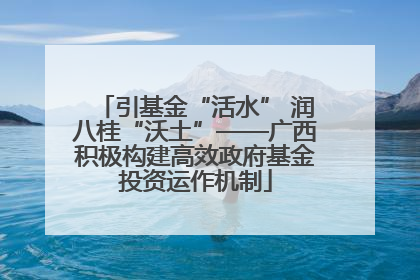 引基金“活水” 润八桂“沃土”——广西积极构建高效政府基金投资运作机制