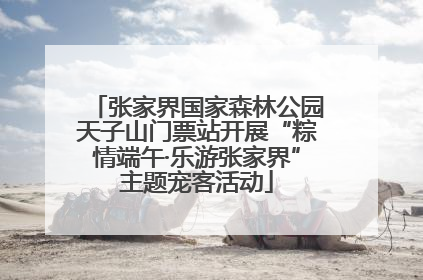 张家界国家森林公园天子山门票站开展“粽情端午·乐游张家界”主题宠客活动