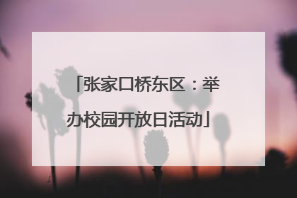张家口桥东区：举办校园开放日活动