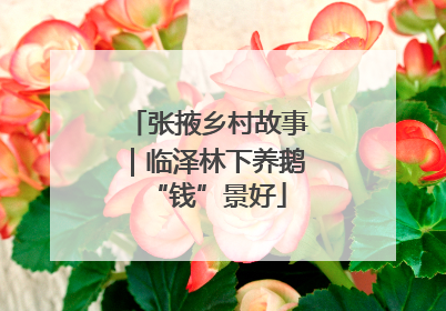 张掖乡村故事｜临泽林下养鹅“钱”景好