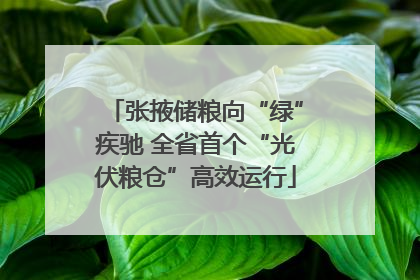 张掖储粮向“绿”疾驰 全省首个“光伏粮仓”高效运行
