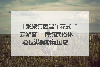 张旅集团端午花式“宠游客” 传统民俗体验拉满假期氛围感