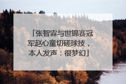 张智霖与世锦赛冠军赵心童切磋球技，本人发声：很梦幻