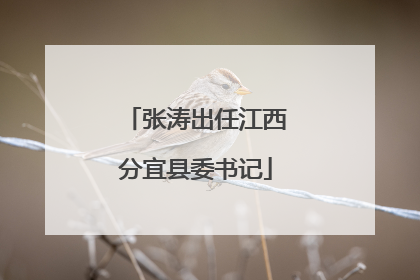 张涛出任江西分宜县委书记