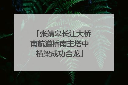 张靖皋长江大桥南航道桥南主塔中横梁成功合龙