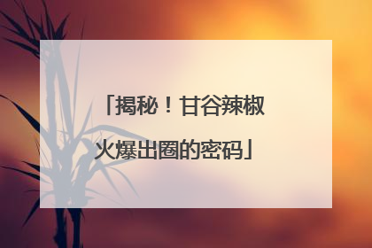 揭秘！甘谷辣椒火爆出圈的密码