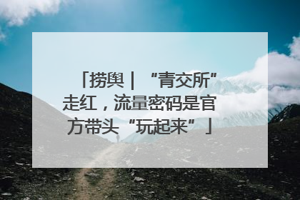 捞舆｜“青交所”走红，流量密码是官方带头“玩起来”