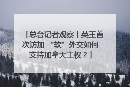 总台记者观察丨英王首次访加 “软”外交如何支持加拿大主权？