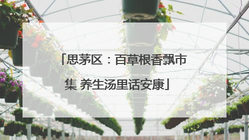思茅区：百草根香飘市集 养生汤里话安康