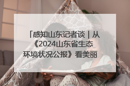 感知山东记者谈｜从《2024山东省生态环境状况公报》看美丽山东建设的“成绩单”与“任务书”
