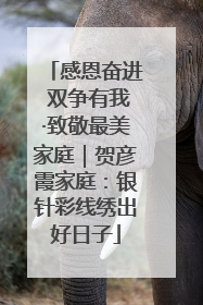 感恩奋进 双争有我·致敬最美家庭｜贺彦霞家庭：银针彩线绣出好日子