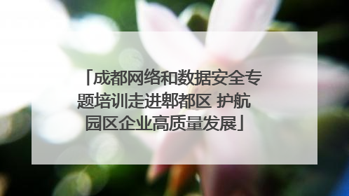成都网络和数据安全专题培训走进郫都区 护航园区企业高质量发展