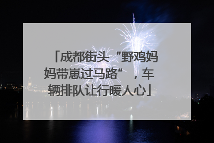 成都街头“野鸡妈妈带崽过马路”，车辆排队让行暖人心