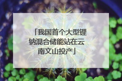 我国首个大型锂钠混合储能站在云南文山投产