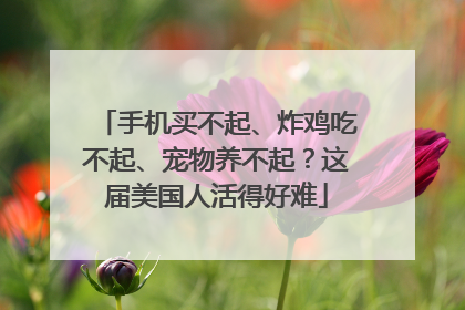 手机买不起、炸鸡吃不起、宠物养不起？这届美国人活得好难