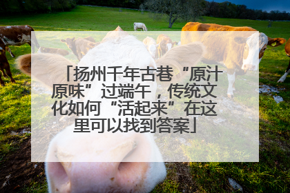 扬州千年古巷“原汁原味”过端午，传统文化如何“活起来”在这里可以找到答案