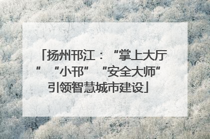 扬州邗江：“掌上大厅”“小邗”“安全大师”引领智慧城市建设