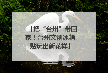 把“台州”带回家！台州文创冰箱贴玩出新花样
