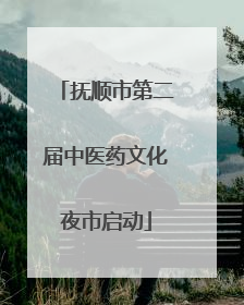 抚顺市第二届中医药文化夜市启动