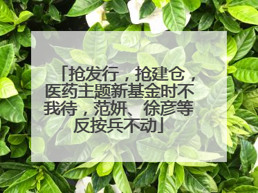 抢发行，抢建仓，医药主题新基金时不我待，范妍、徐彦等反按兵不动