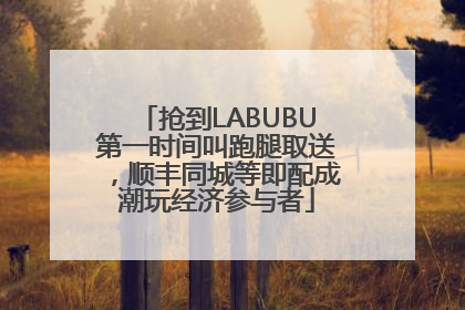 抢到LABUBU第一时间叫跑腿取送，顺丰同城等即配成潮玩经济参与者