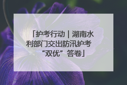 护考行动｜湖南水利部门交出防汛护考“双优”答卷