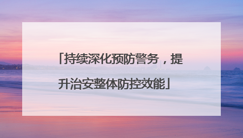 持续深化预防警务，提升治安整体防控效能