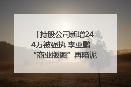 持股公司新增244万被强执 李亚鹏“商业版图”再陷泥潭？｜科技观察