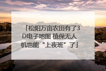 松阳万亩农田有了3D电子地图 植保无人机也能“上夜班”了