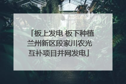 板上发电 板下种植 兰州新区段家川农光互补项目并网发电