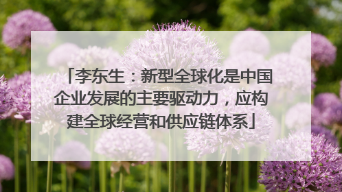 李东生：新型全球化是中国企业发展的主要驱动力，应构建全球经营和供应链体系