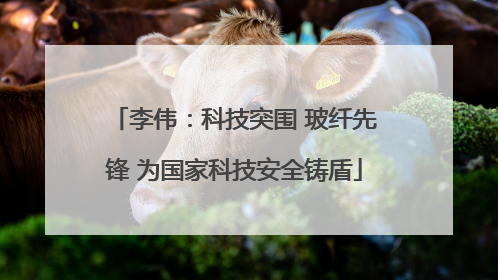 李伟：科技突围 玻纤先锋 为国家科技安全铸盾