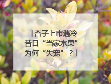 杏子上市遇冷 昔日“当家水果”为何“失宠”？