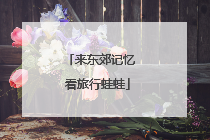来东郊记忆 看旅行蛙蛙