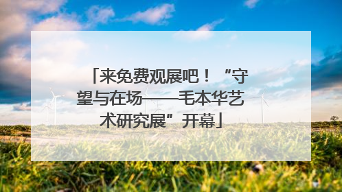 来免费观展吧！“守望与在场——毛本华艺术研究展”开幕