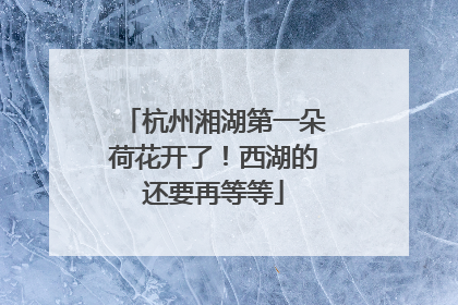 杭州湘湖第一朵荷花开了！西湖的还要再等等