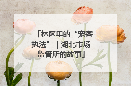 林区里的“宠客执法”｜湖北市场监管所的故事