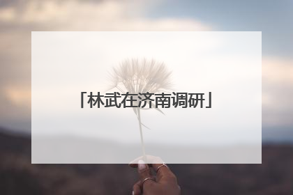 林武在济南调研