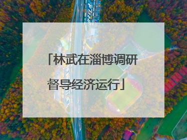 林武在淄博调研督导经济运行