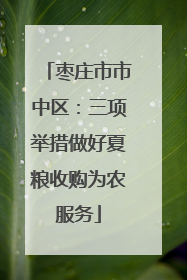 枣庄市市中区：三项举措做好夏粮收购为农服务