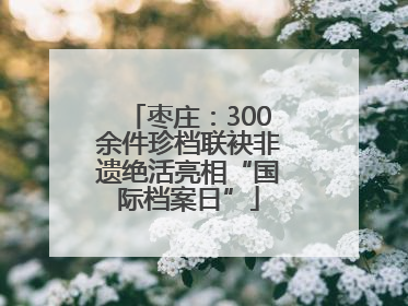 枣庄：300余件珍档联袂非遗绝活亮相“国际档案日”