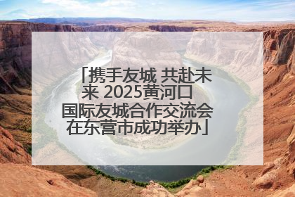 携手友城 共赴未来 2025黄河口国际友城合作交流会在东营市成功举办