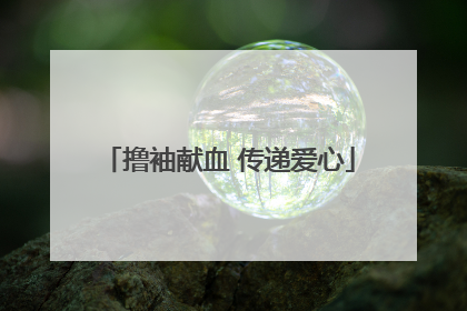 撸袖献血 传递爱心